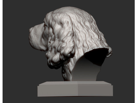 English Springer spaniel 3D Принт Модель