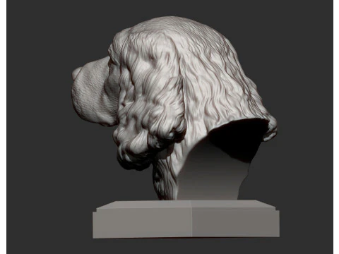 English Springer spaniel 3D Print Model