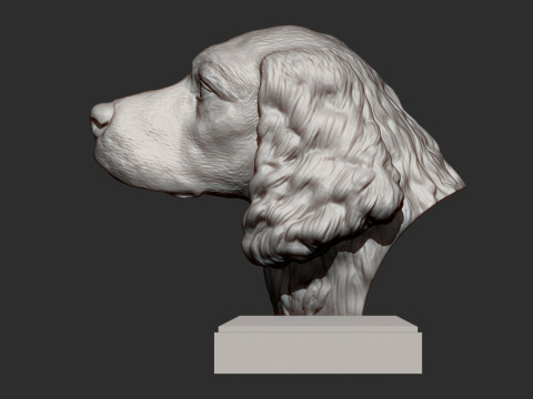 English Springer spaniel 3D Принт Модель