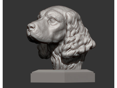 English Springer spaniel 3D Принт Модель