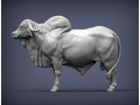 Gyr Bull 3Dプリントモデル