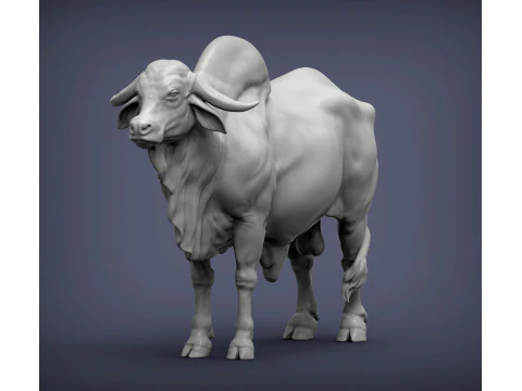 Gyr Bull 3D Print Model