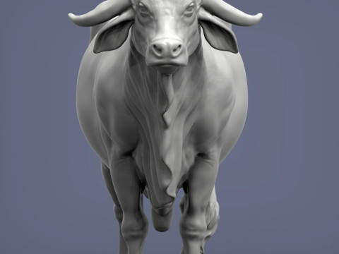 Gyr Bull Model do druku 3D