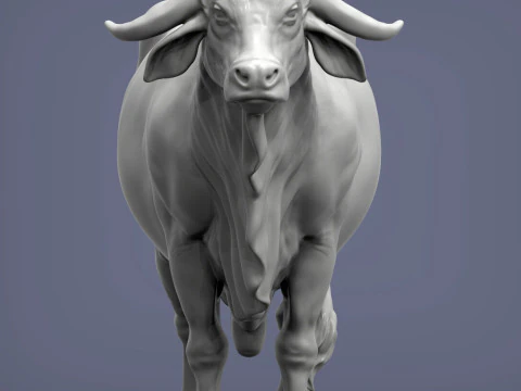 Gyr Bull 3D Print Model