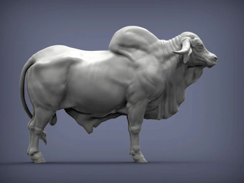 Gyr Bull 3D Print Model