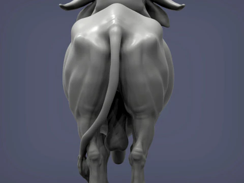 Gyr Bull 3D Print Model