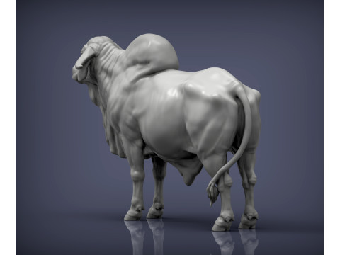 Gyr Bull Model do druku 3D