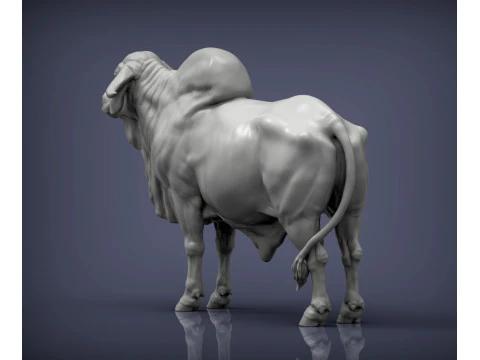 Gyr Bull 3D Print Model