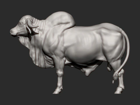 Gyr Bull 3D Print Model