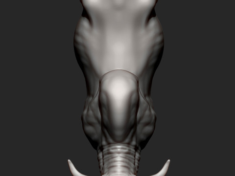 Gyr Bull Model do druku 3D