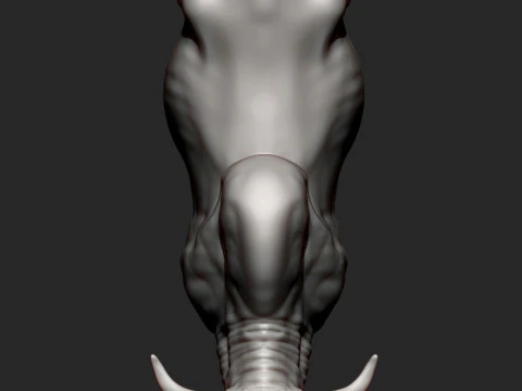 Gyr Bull 3D Print Model