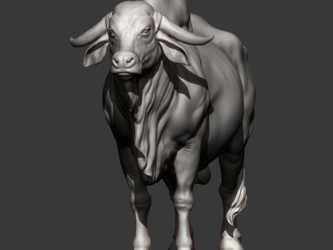 Gyr Bull 3D Print Model