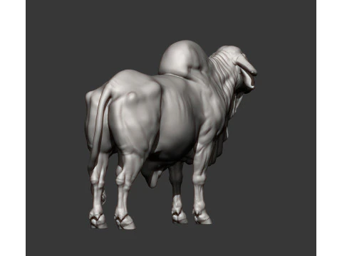 Gyr Bull 3D Print Model