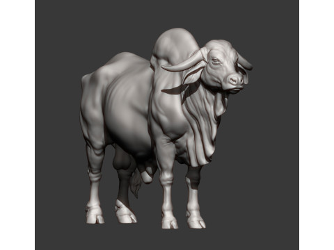 Gyr Bull Model do druku 3D