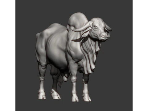 Gyr Bull 3D Print Model