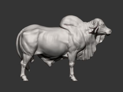 Gyr Bull Model do druku 3D