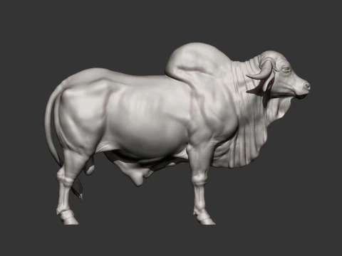 Gyr Bull 3D Print Model