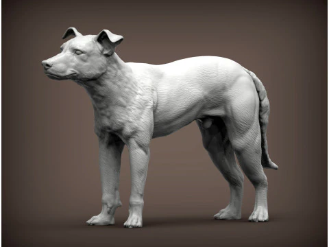 Neuseeländischer Schäferhund 3D Druckmodell