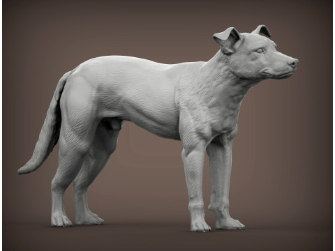 New Zealand Shepherd Modelo de Impressão 3D