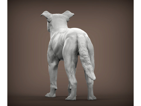 New Zealand Shepherd Modelo de Impressão 3D