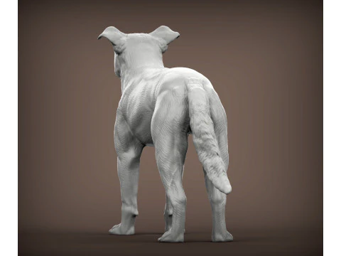 New Zealand Shepherd 3D Print Model