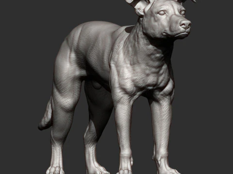New Zealand Shepherd 3D Print Model