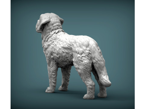Saint-bernard dog 3D 打印模型