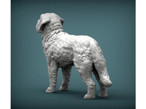 Saint-bernard dog 3D Print Model