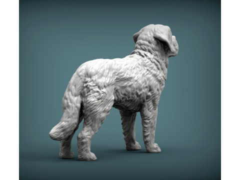 Saint-bernard dog 3D 打印模型