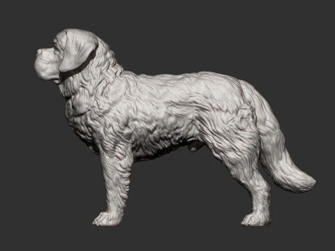 Saint-bernard dog 3D Print Model