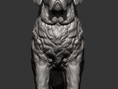 Saint-bernard dog 3D 打印模型