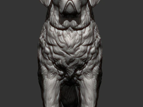 Saint-bernard dog 3D Print Model