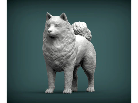 サモエド犬 3Dプリントモデル