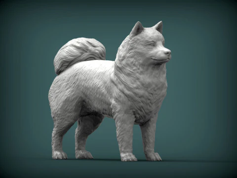 सामोयड कुत्ता 3D प्रिंट मॉडल