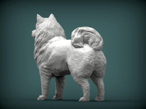 सामोयड कुत्ता 3D प्रिंट मॉडल