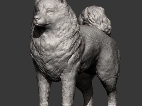 सामोयड कुत्ता 3D प्रिंट मॉडल