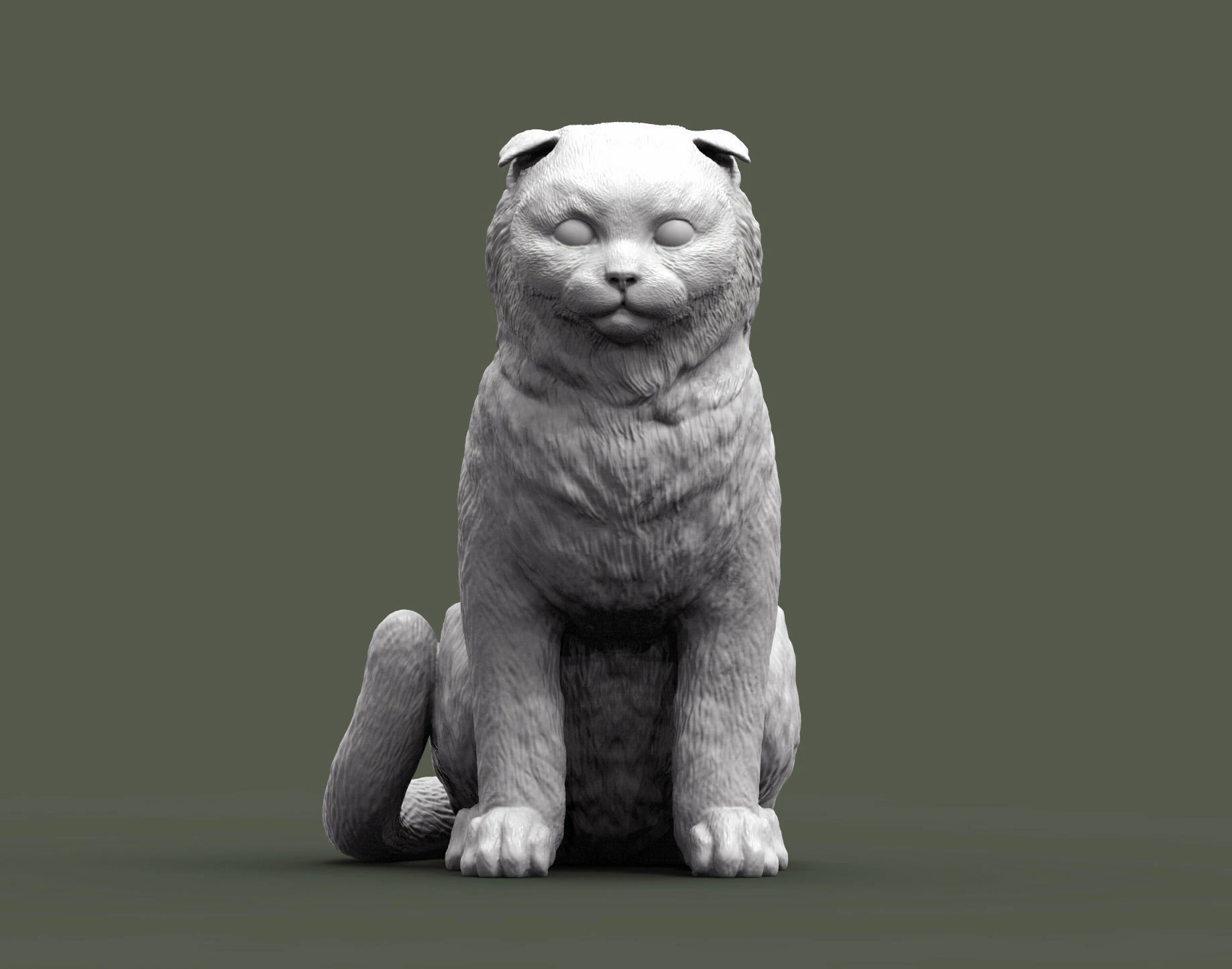 스코티시폴드 고양이 3D 프린트 모델 .c4d .max .obj .3ds .fbx .stl .blend 