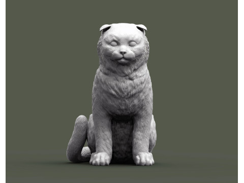 Scottish fold cat 3Dプリントモデル