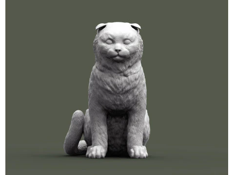 Gato escoc&ecirc;s Modelo de Impressão 3D