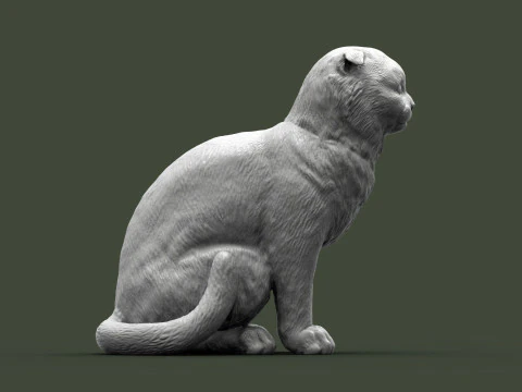 스코티시폴드 고양이 3D 프린트 모델