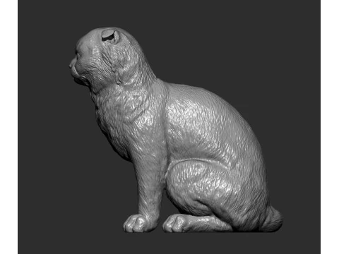 스코티시폴드 고양이 3D 프린트 모델