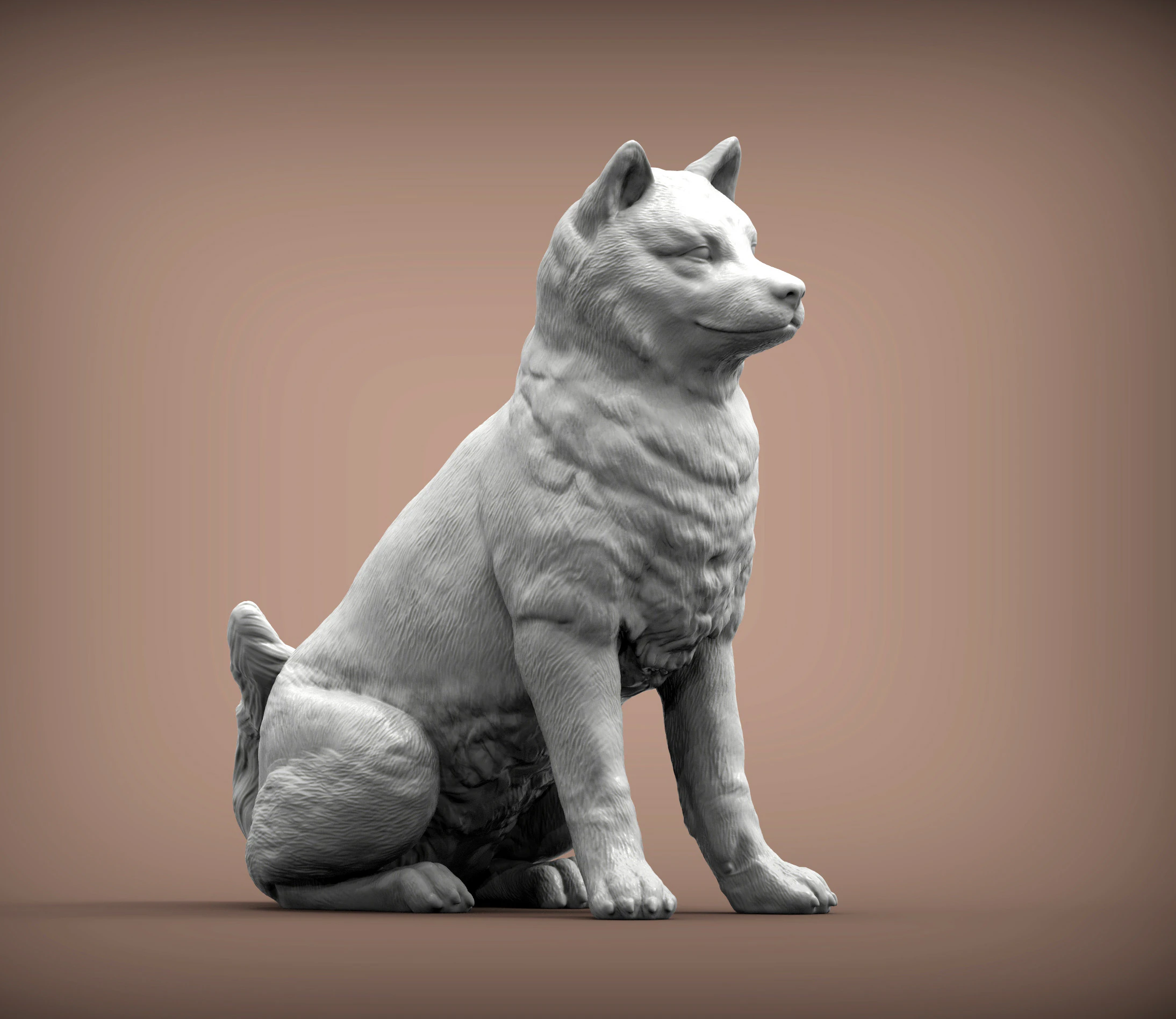 Shiba inu 3D Print Model .c4d .max .obj .3ds .fbx .stl .blend 
