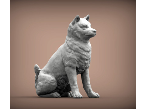 Shiba inu 3Dプリントモデル