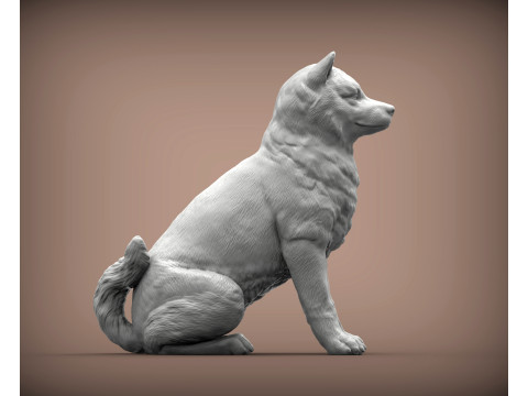 Shiba inu 3Dプリントモデル