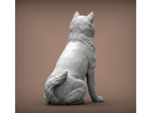 Shiba inu 3Dプリントモデル