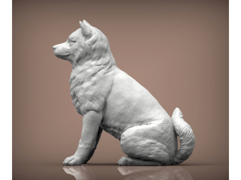 Shiba inu 3Dプリントモデル