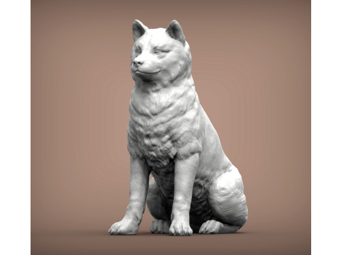 Shiba inu 3Dプリントモデル