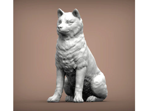 Shiba inu 3D Print Model