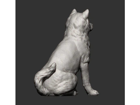 Shiba inu 3D Print Model