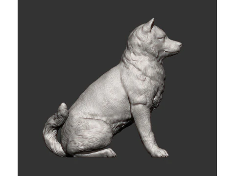 Shiba inu 3D Print Model